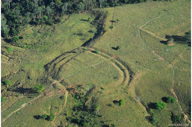 Hundreds of Ancient Amazonian Earthworks Revealed: A 2,000-Year-Old Civilizational Mystery