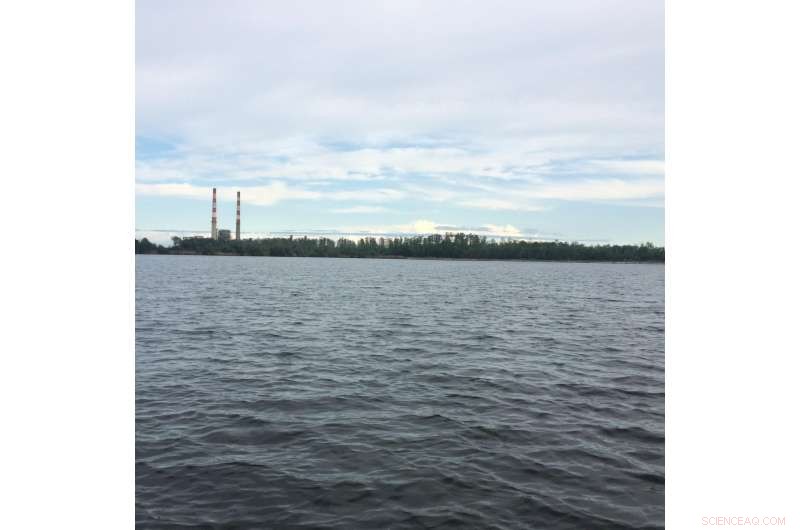 Elevated Selenium Levels Detected in Fish from North Carolina Lakes Contaminated by Coal Ash