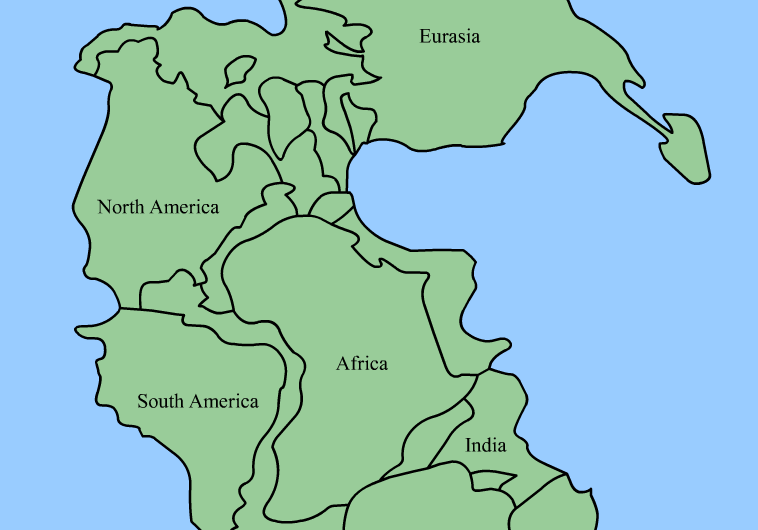 Shoaling Anomaly Linked to 250‑Million‑Year‑Old Mass Extinction