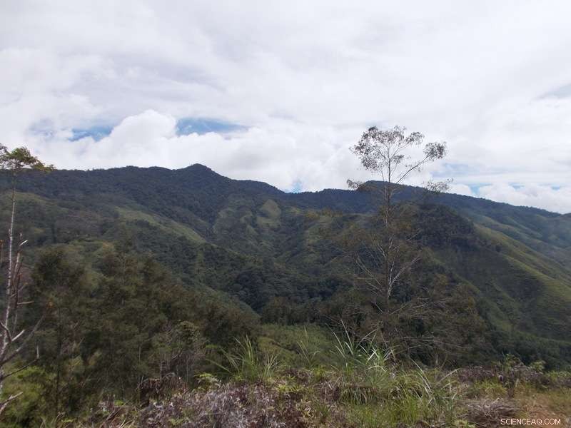 Continued Tropical Foraging in New Guinea Highlands During the Terminal Pleistocene/Holocene