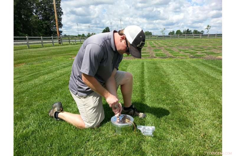 Grow, Mow & Mulch: Maximizing Your Lawn’s Value and Sustainability