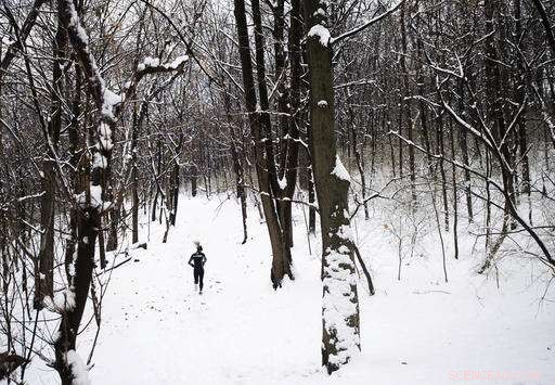 Short‑Lived La Niña Ends, Global Climate Moves Toward Neutral