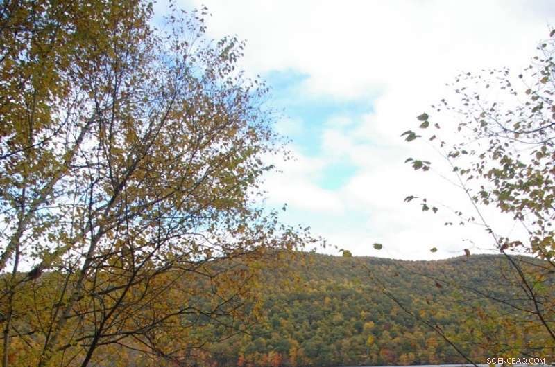 New Study Aims to Safeguard the Essential Benefits of Nature for Humanity