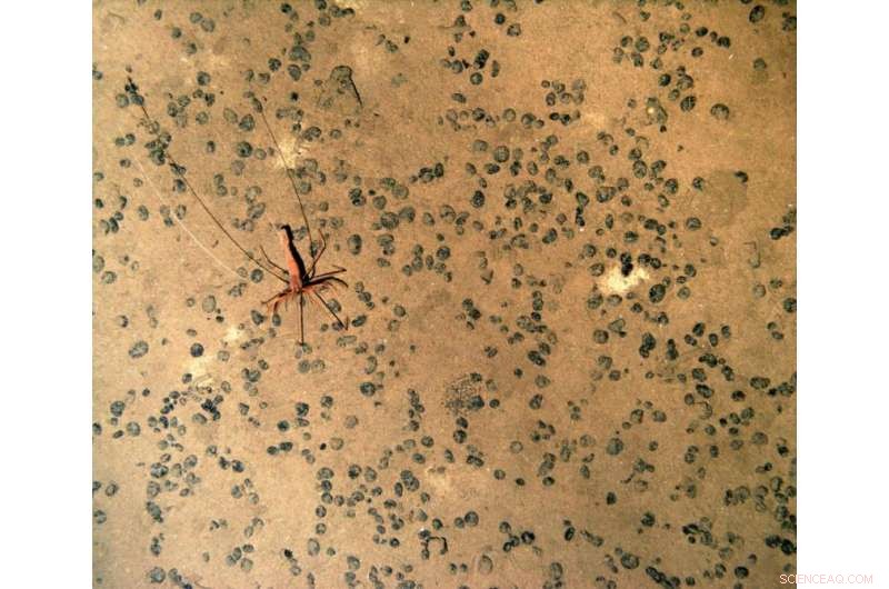 Assessing the Long-Term Environmental Consequences of Deep-Sea Mineral Extraction