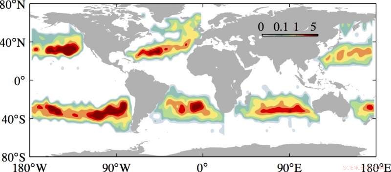New Research Unveils How Marine Plastic Patches Form
