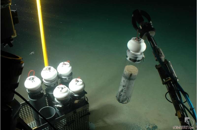 Black Sea Study Reveals How Brief Oxygen Depletion on Seafloor Can Displace Organisms for Years