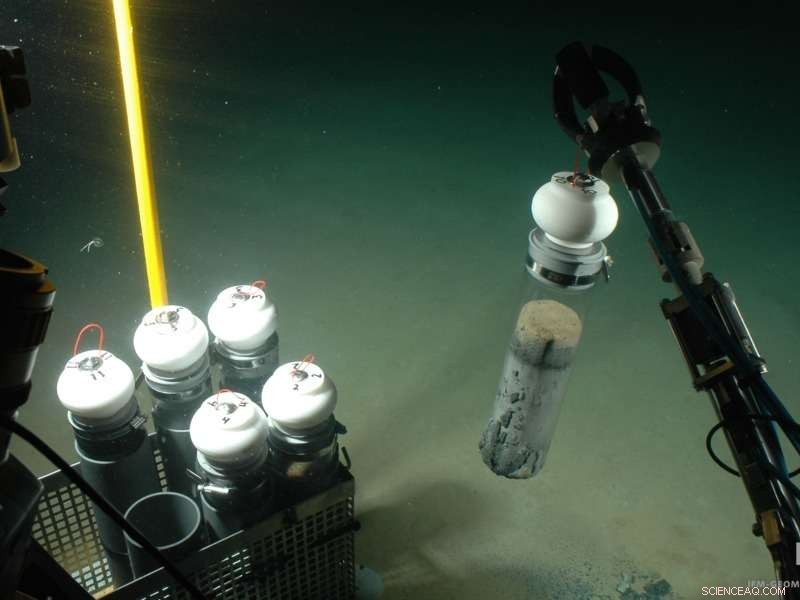Reduced Bottom-Water Oxygen Drives Greater Organic Matter Accumulation on the Seafloor