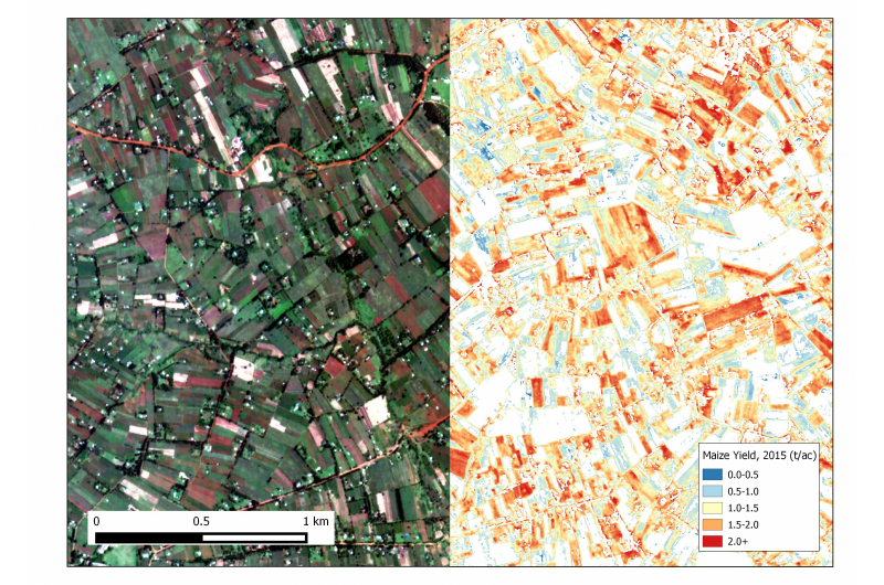 Precision Satellite Imaging Reveals African Farm Yields