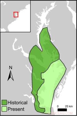 Long-Term Eelgrass Loss Driven by Combined Shade and Heat Stress