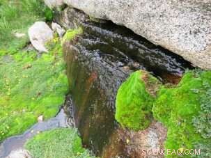 Ice Age Echoes in the High Sierras Reveal Climate Futures