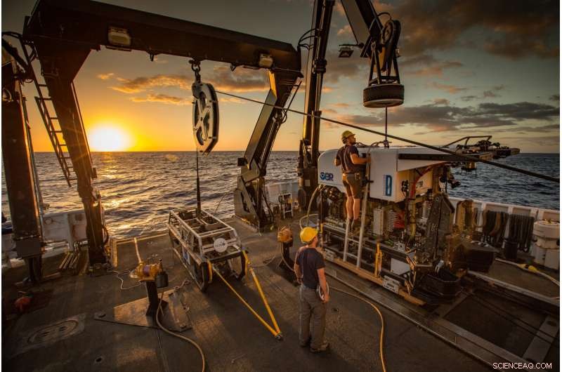 2017 American Samoa Deep-Sea Expedition Unveils Hidden Ecosystem Wonders
