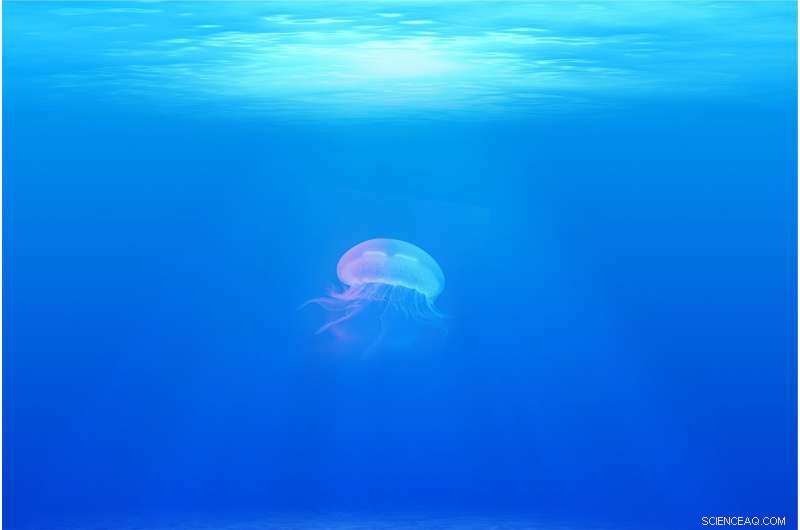 Global Ocean De-Oxygenation Measured: Climate Change Impact