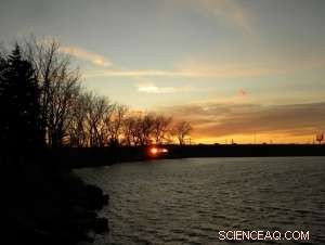 Urban Reforestation: Transforming Abandoned Sites into Thriving Forests