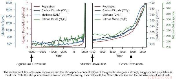 Beyond Climate Change: Unveiling Critical Feedback Loops