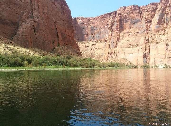 Colorado River Flows Shrink Rapidly as Climate Warming Continues