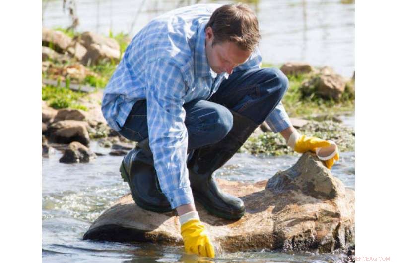 New Research Reveals How Water Withdrawals Impact Fish and Insect Diversity in North Carolina Streams