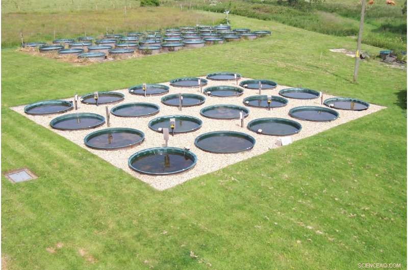 Rising Temperatures May Accelerate Climate Change by Reducing Pond Carbon Sequestration and Increasing Methane Emissions