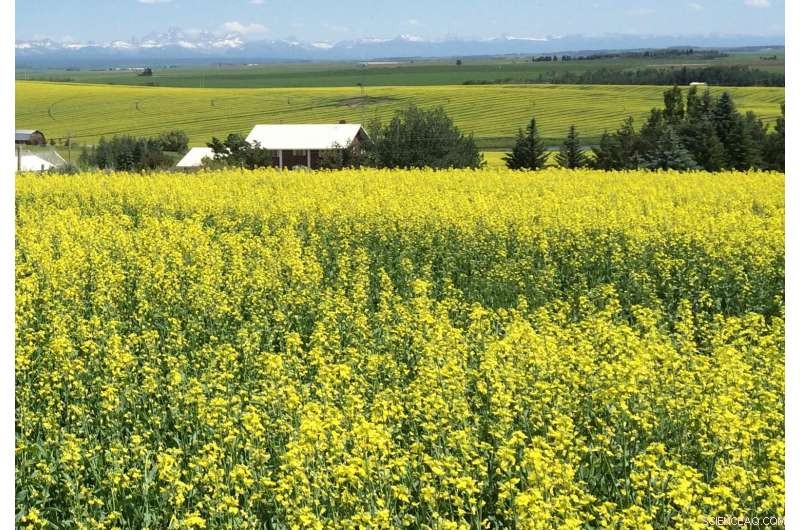 Maximizing Profits with Cool-Climate Crops: A Grower s Guide