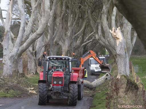 Fatal Accident: Woman Dies After Debris Hits Her During Storm Doris in Britain