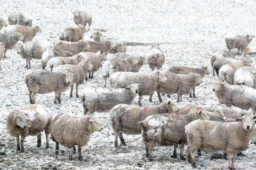 Fatal Accident: Woman Dies After Debris Hits Her During Storm Doris in Britain