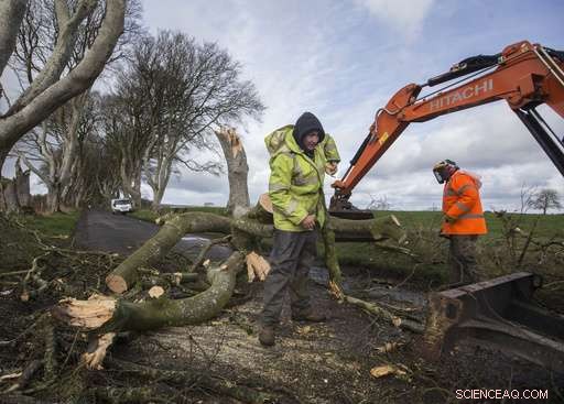Fatal Accident: Woman Dies After Debris Hits Her During Storm Doris in Britain