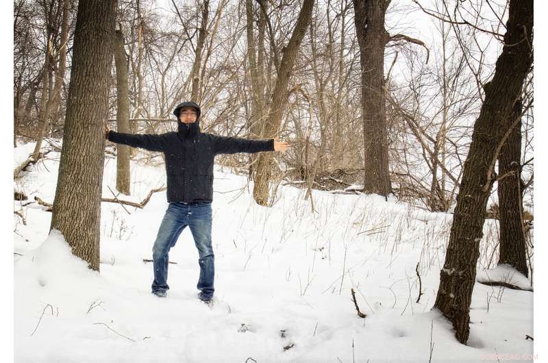 Study Shows Rural US Forests Decline More Rapidly Than Urban Areas