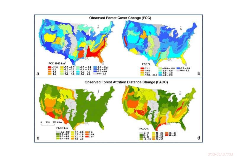 Study Shows Rural US Forests Decline More Rapidly Than Urban Areas