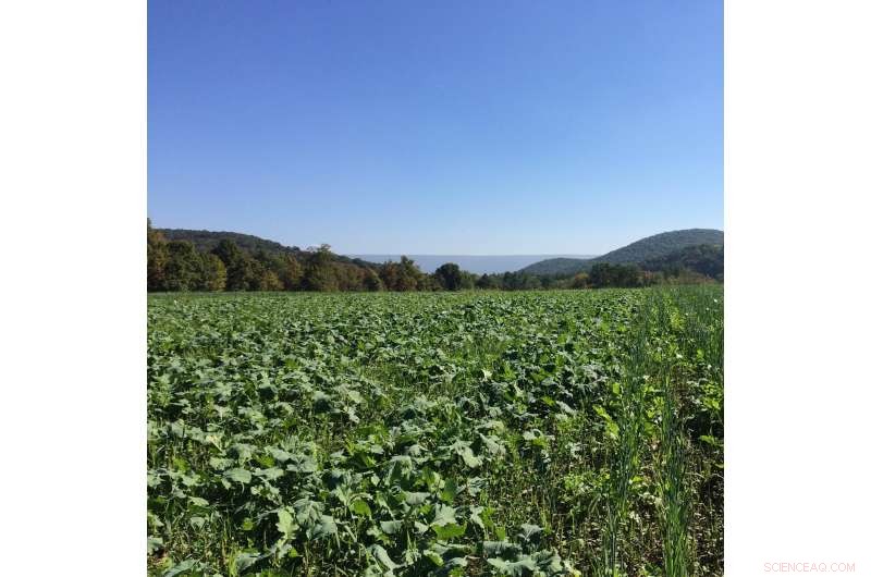 Reevaluating the Agriculture Paradigm: Inaccuracies and Misconceptions