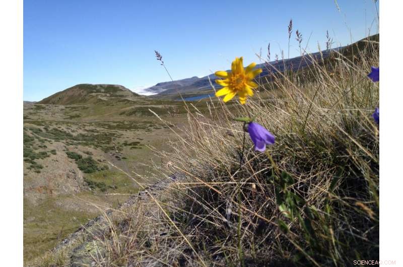 Melting Arctic Sea Ice Accelerates Nature s Clock: Implications for the Region