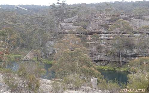 Study Reveals Toxic Mine Discharge Threatening Blue Mountains World Heritage Waterways