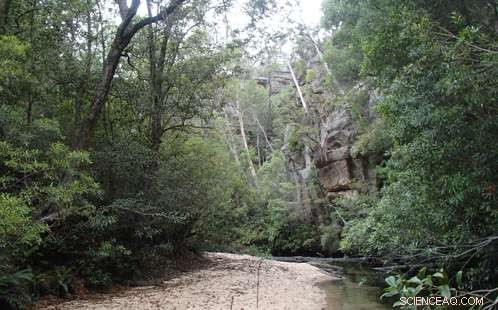 Study Reveals Toxic Mine Discharge Threatening Blue Mountains World Heritage Waterways