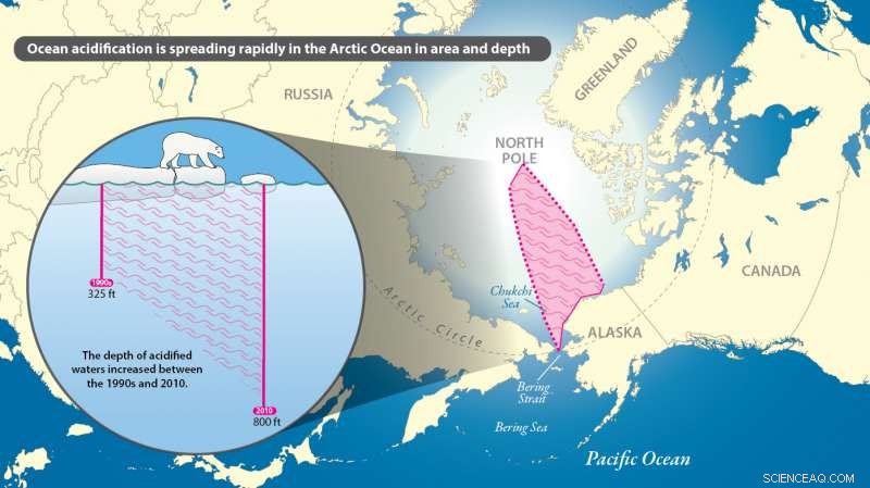 International Scientists Confirm Accelerated Acidification in the Arctic Ocean