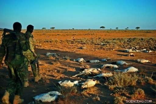 Somalia s President Declares National Disaster Amid Severe Drought