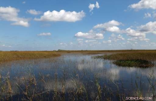 Florida Everglades Restoration Gains New Urgency Amid Climate Threats