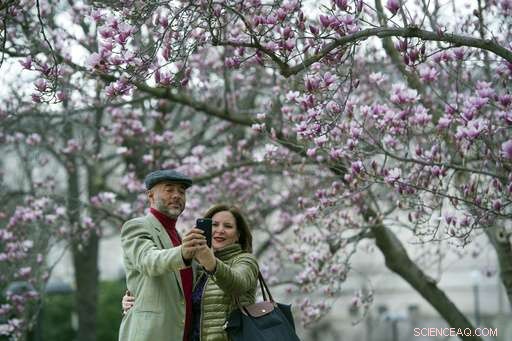 Early Spring Bloom Across the U.S. – Updated Analysis