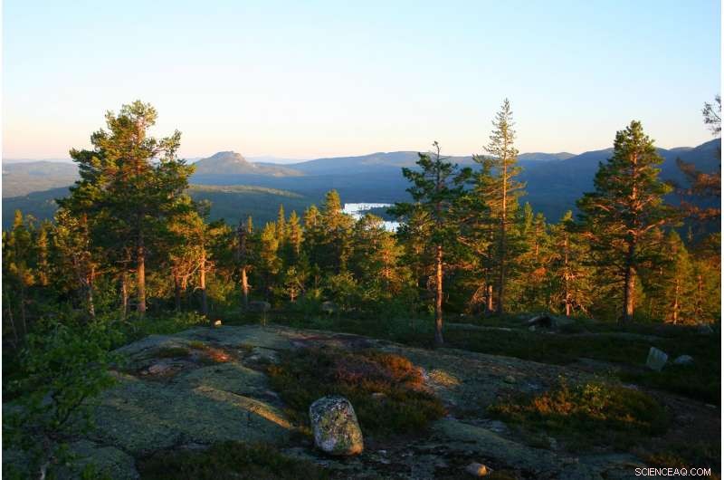 Fire-Scored Trees Reveal 700 Years of Natural and Human Fire History in Northern Forests