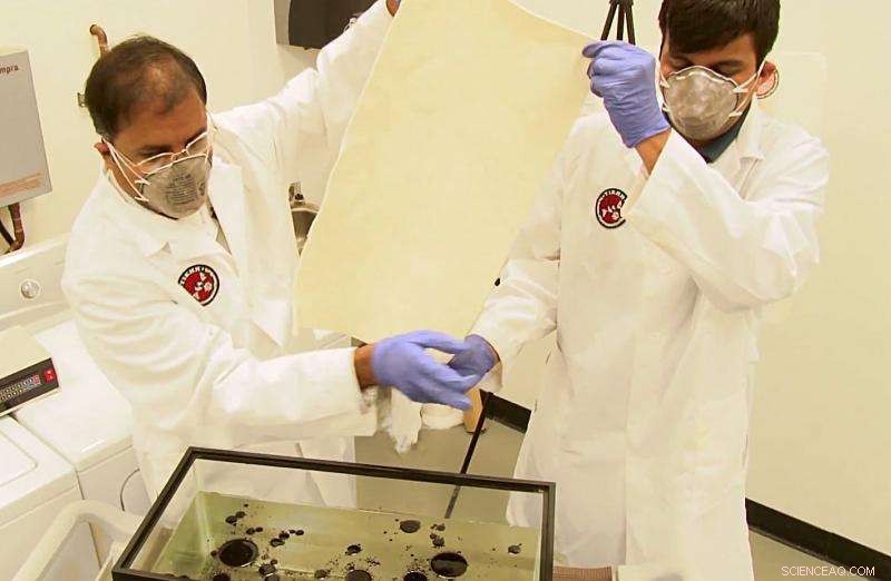 Research Finds Fine Raw Cotton Most Effective for Oil Spill Cleanup