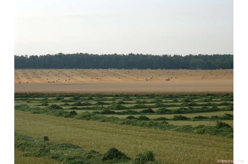 French Crops Thrive as Pesticide Use Declines