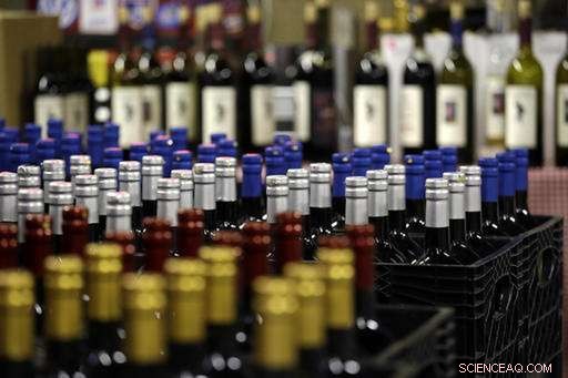 Washington Achieves Record Wine Grape Harvest in 2016