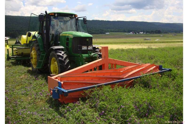 Cover Crops: Effective Weed Suppression & Soil Protection