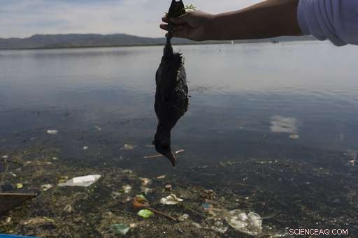Peruvian Sacred Lake Marred by Trash: Incans  Revered Lake Faces Environmental Crisis