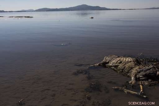 Peruvian Sacred Lake Marred by Trash: Incans  Revered Lake Faces Environmental Crisis