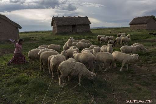 Peruvian Sacred Lake Marred by Trash: Incans  Revered Lake Faces Environmental Crisis