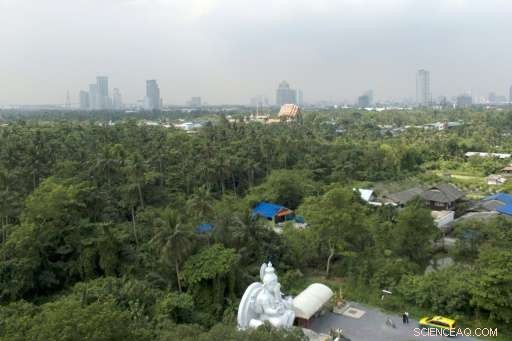 Saving Bangkok’s Green Lung: The Fight to Preserve Bang Krachao