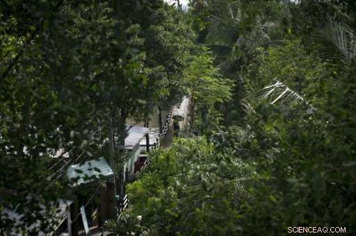 Saving Bangkok’s Green Lung: The Fight to Preserve Bang Krachao