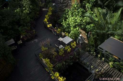 Saving Bangkok’s Green Lung: The Fight to Preserve Bang Krachao