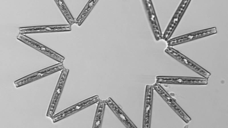 New NES-LTER Site Opens Up Long-Term Coastal Ocean Research in the Northeast U.S.