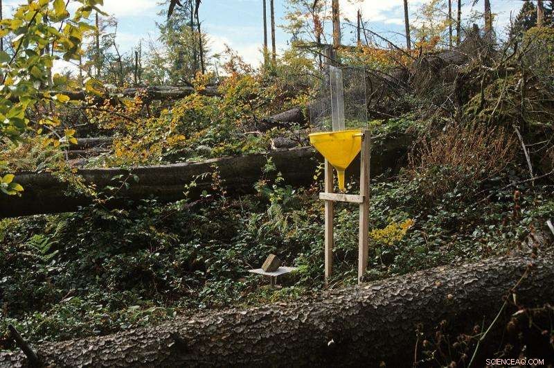 Swiss Institute Finds Insects Drawn to Storm-Generated Wind