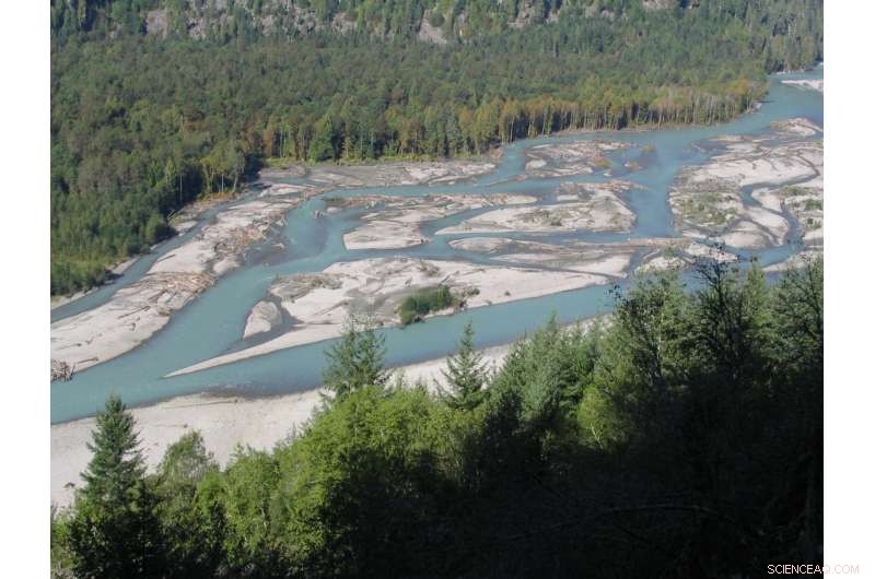 How Climate Change Will Affect Leaf Litter Decomposition in Freshwater Ecosystems