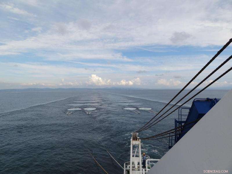 Exploring Japan’s Seismic Mysteries: In-Depth Research into Earthquakes